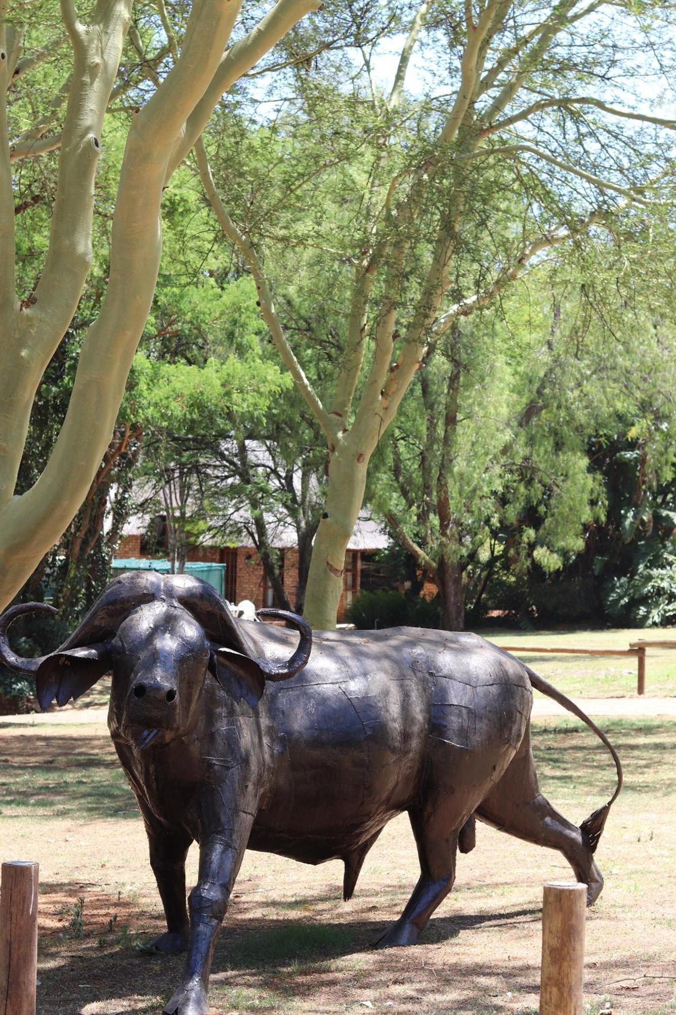 Khaya Africa Guesthouse Midrand Exterior photo